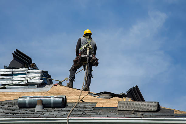 Professional Gutter Installation technician working in Sheldon, TX